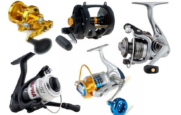 PENN | OKUMA | SHIMANO | SHAKESPEARE | DAIWA