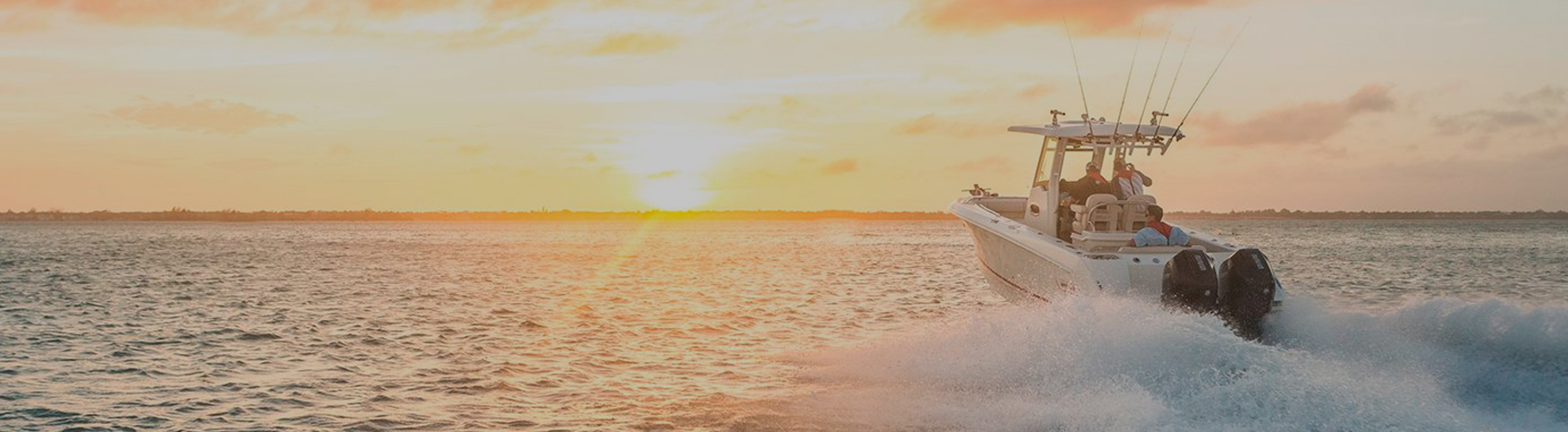 Motores fuerda de borda