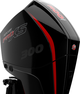 Motores fuera de borda en cancun Quintana roo