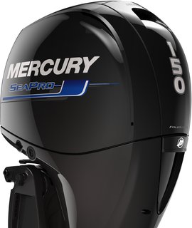 Motores fuera de borda en cancun Quintana roo