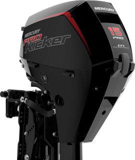 Motores fuera de borda en cancun Quintana roo