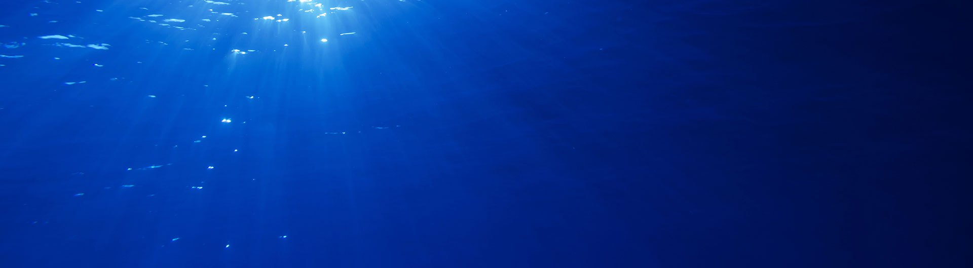 politicas de devoluciones blue